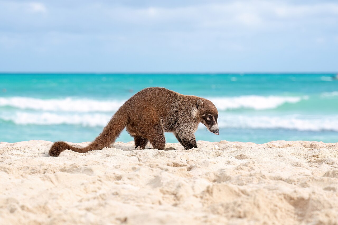 Yucatán